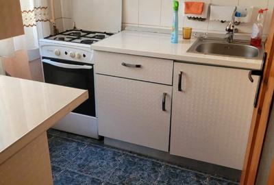 Garsonieră decomandată în Târgu Cărbunești - 4