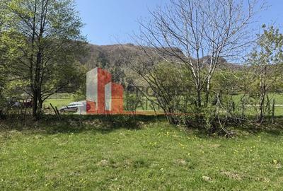 Terenuri Bran - Predelut  Priveliște către Bucegi și Postăvaru - 3