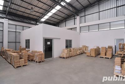 Spa?ii Comerciale ?i Hale Industriale in Timi?oara Spa?ii Comerciale ?i Hale Industriale in Timi?oara - 2