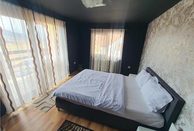 Oferta casa de vacanta P+1+M cu 1700mp teren, in Gura Raului - 32