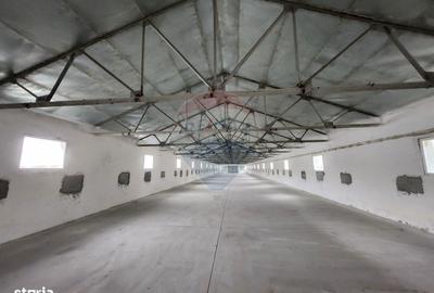 Spațiu comercial, de 683 mp, în Domnești - 4