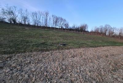 Teren de 2422 mp, în Șumugiu - 6