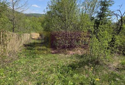 Teren Construcții intravilan de 1494 mp, în Șotrile - 17