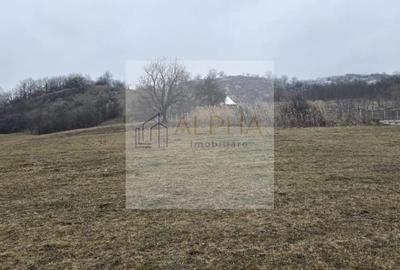 Teren Intravilan la Intrare in Ghinda - 3 parcele de cate 15 arii Teren Intravilan la Intrare in Ghinda - 3 parcele de cate 15 arii - 1