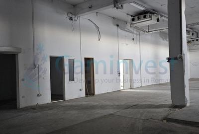 Spațiu industrial, de 609 mp, în Borș - 3