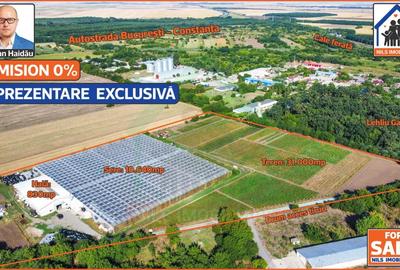 Teren agricol intravilan de 42000 mp, în Sud