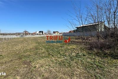 Spațiu comercial, în Partoș