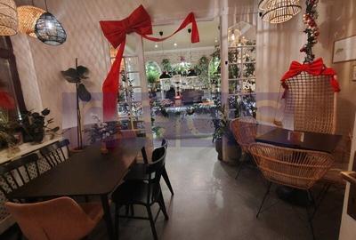 VILA EXCEPTIONALA PARCUL CAROL |  5 STUDIOURI | SPATIU HORECA FUNCTIONAL | - 2