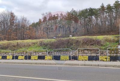 Oportunitate investitie B. Felix teren intravilan cu PUZ 1157 mp DN 76 - 9