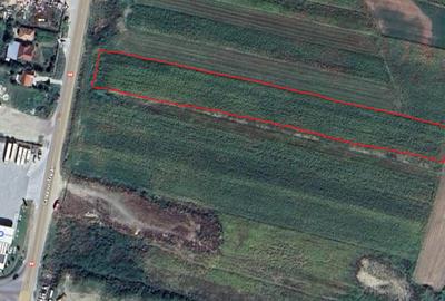 Teren 5000 mp, Valea Mare, Babeni DN64 - 3