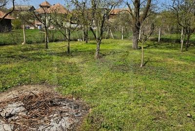 Casă individuală cu 3 camere cu Canalizare în Ceanu Mic - 14