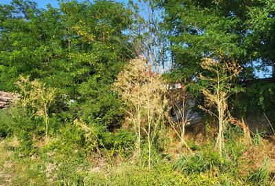 VANZARE TEREN EXTRAVILAN VANZARE TEREN EXTRAVILAN - 5