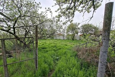 Casă cu 3 camere cu Teren 1230 Mp în Obârșia de Câmp - 10