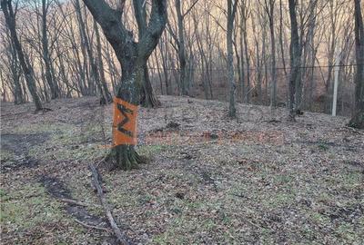 Spațiu comercial, în Sărata - 6