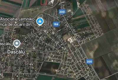 Teren de 6800 mp, în Dascălu - 3