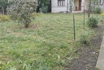 Casă cu 3 camere cu Teren 2500 Mp în Central - 6
