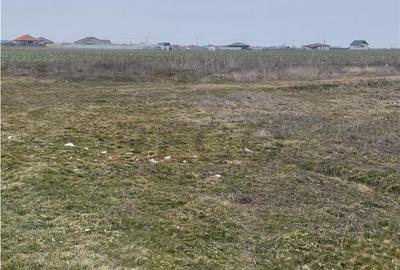 RECO Teren intravilan in Livada de Bihor 1000mp - 3