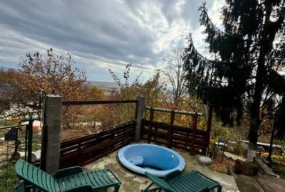 Casă cu 4 camere cu Teren 1527 Mp în Tăuții de Sus - 10