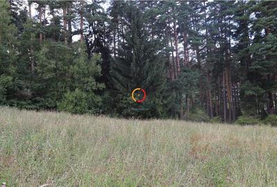 Teren intravilan cu PUZ si PUD 2 loturi - 10