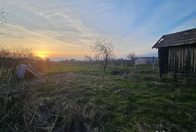 Casă cu 3 camere cu Teren 1090 Mp în Pielești - 2