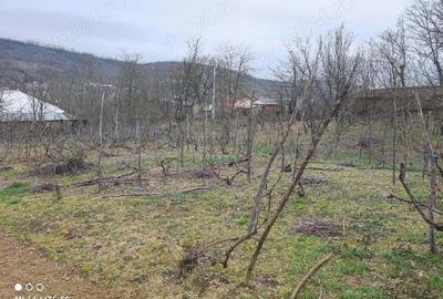 Casă cu Teren 3000 Mp în Moscu - 1