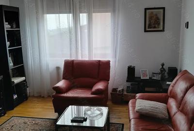 Casa de vanzare 4 camere 120 mp utili, 600 mp teren, garaj, curte pavata, gradina, zona Ipotesti - 5