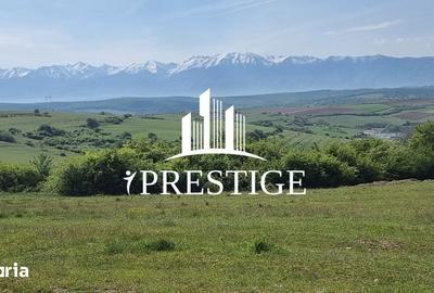 Teren de 2000 mp, în Trei Stejari - 6