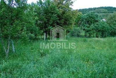 Teren intravilan | Budiu Mic | 994 mp