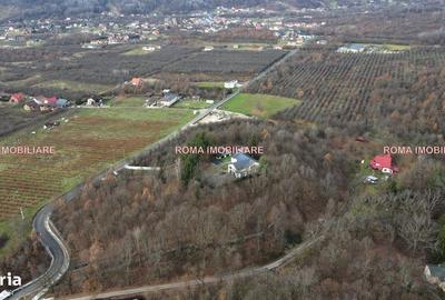 Teren de 7400 mp, în Tăuții-Măgherăuș - 4