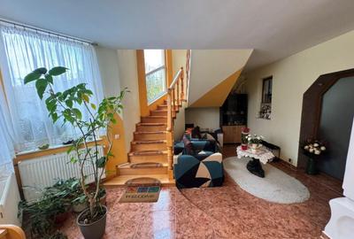 CASA DE VIS SAU AFACERE DE SUCCES BAIA SPRIE - 23