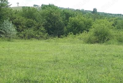 Teren de 3600 mp, în Valea Călugărească - 2