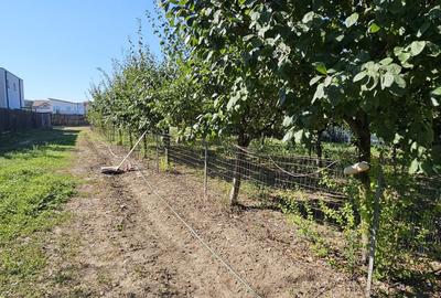 Teren de vanzare Corbeanca  Central. Teren de vanzare Corbeanca  Central. - 2
