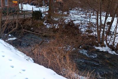 Casă cu 3 camere în Lotrioara - 3