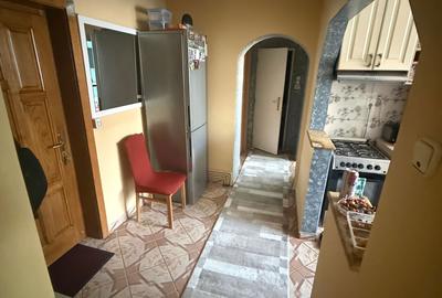 Apartament cu 2 camere decomandat în Livada - 5