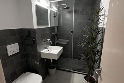 Apartament cu 2 camere semidecomandat în Someș - 18