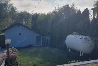 Casă cu Teren 1220 Mp în Dunavățu de Jos - 5