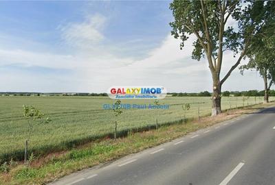 Teren Construcții intravilan de 25000 mp, în Nord - 5