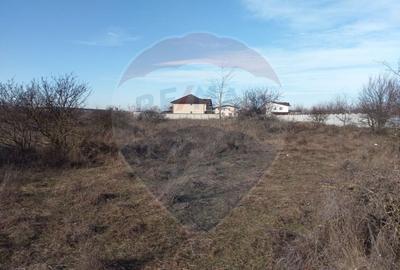 Teren de 919 mp, în Nord - 8