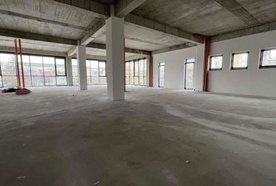 Spatiu Comercial-Birouri, 300mp, Et. 1, Cal. Torontalului - Bulevard! - 2