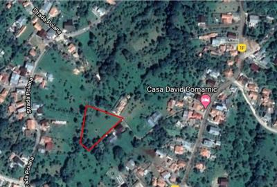 Teren Construcții intravilan de 2775 mp, în Poiana - 2