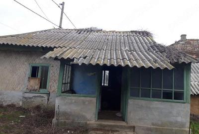 Casă cu Teren 1884 Mp în Baia - 5