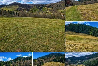 Teren de 6250 mp, în Vidra - 1