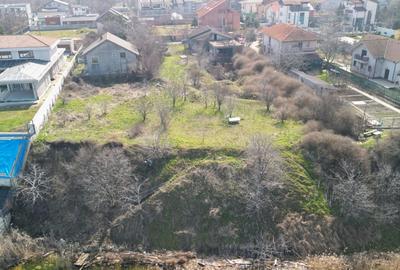 Teren Construcții intravilan de 2200 mp, în Palazu Mare - 4