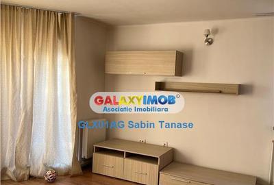 De inchirere vila Stefanesti Lidl ....curte amenajata ter - 8