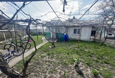 Casă cu 3 camere în Lozna - 5