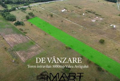 Teren de 5000 mp, în Avrig - 3