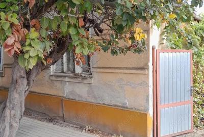 VAND casa loc.Igris jud.Timis - 1