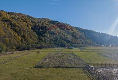 Teren Construcții intravilan de 2100 mp, în Plaiul Foii - 3