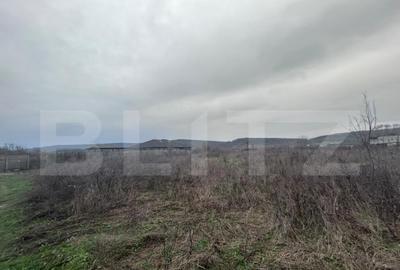 Teren extravilan de vanzare, 10.000 mp - Turcinesti - 1