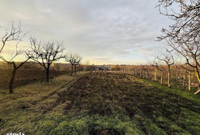 Casă cu 3 camere în Paleu - 2